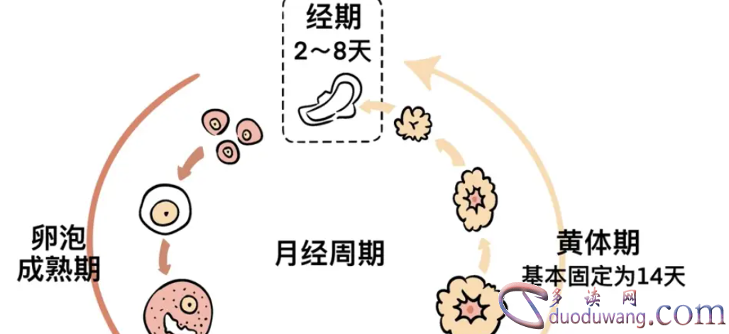 1716971832941263.png image.png