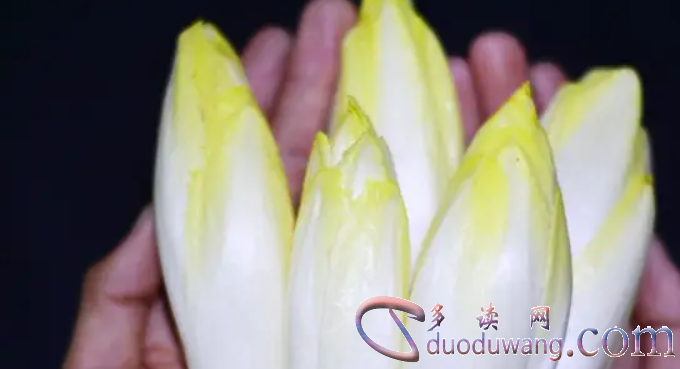 1716975475444204.png image.png