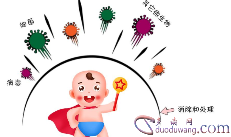 1717158746866498.png image.png