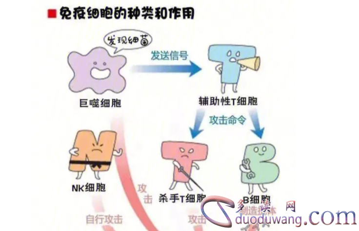 1717159217223514.png image.png