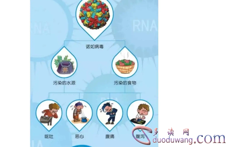 1717299483410596.png image.png