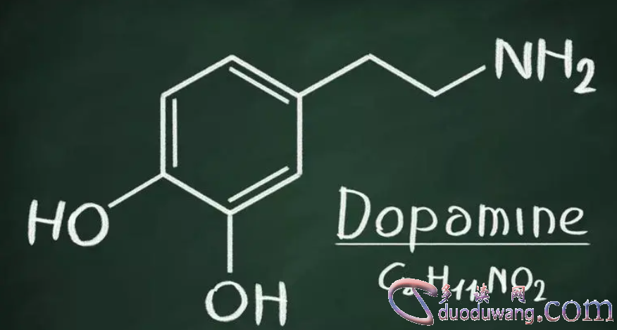 1717500951656633.png image.png