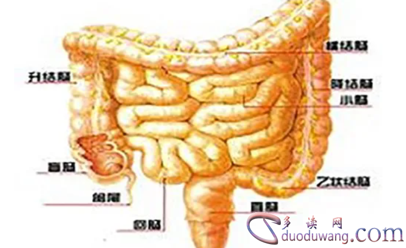 1717501364552646.png image.png