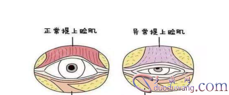 1717502162501095.png image.png