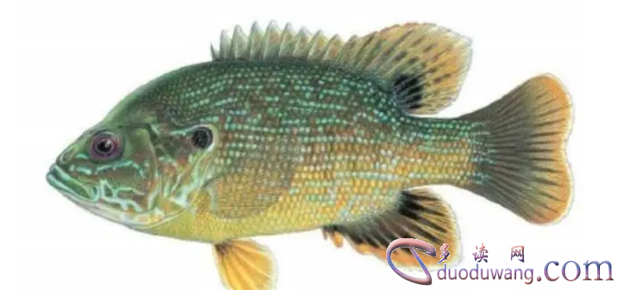 1717594734652678.png image.png