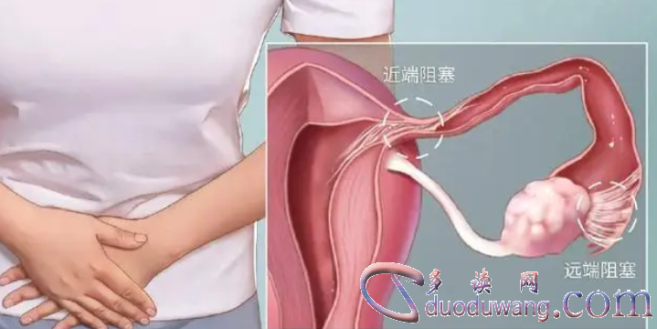 1717595133299218.png image.png