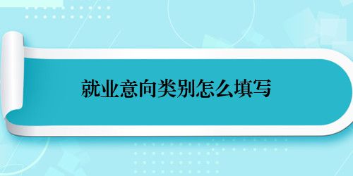就业意向类别怎么填写