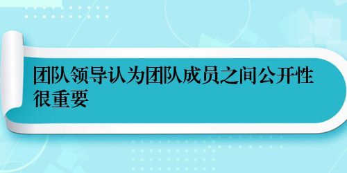 团队领导认为团队成员之间公开性很重要