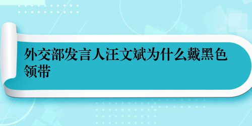 外交部发言人汪文斌为什么戴黑色领带