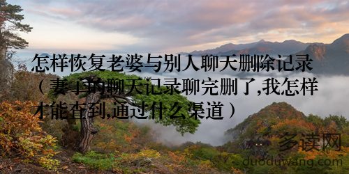 怎样恢复老婆与别人聊天删除记录(妻子的聊天记录聊完删了,我怎样才能查到,通过什么渠道)