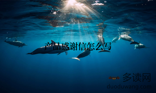 产品感谢信怎么写