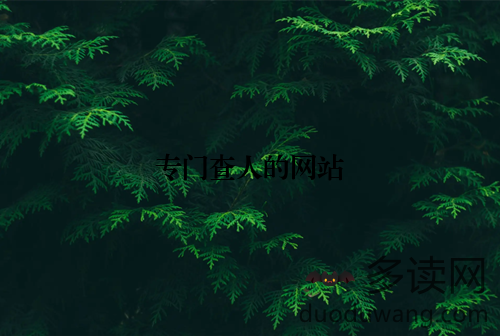 专门查人的网站
