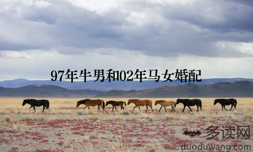 97年牛男和02年马女婚配