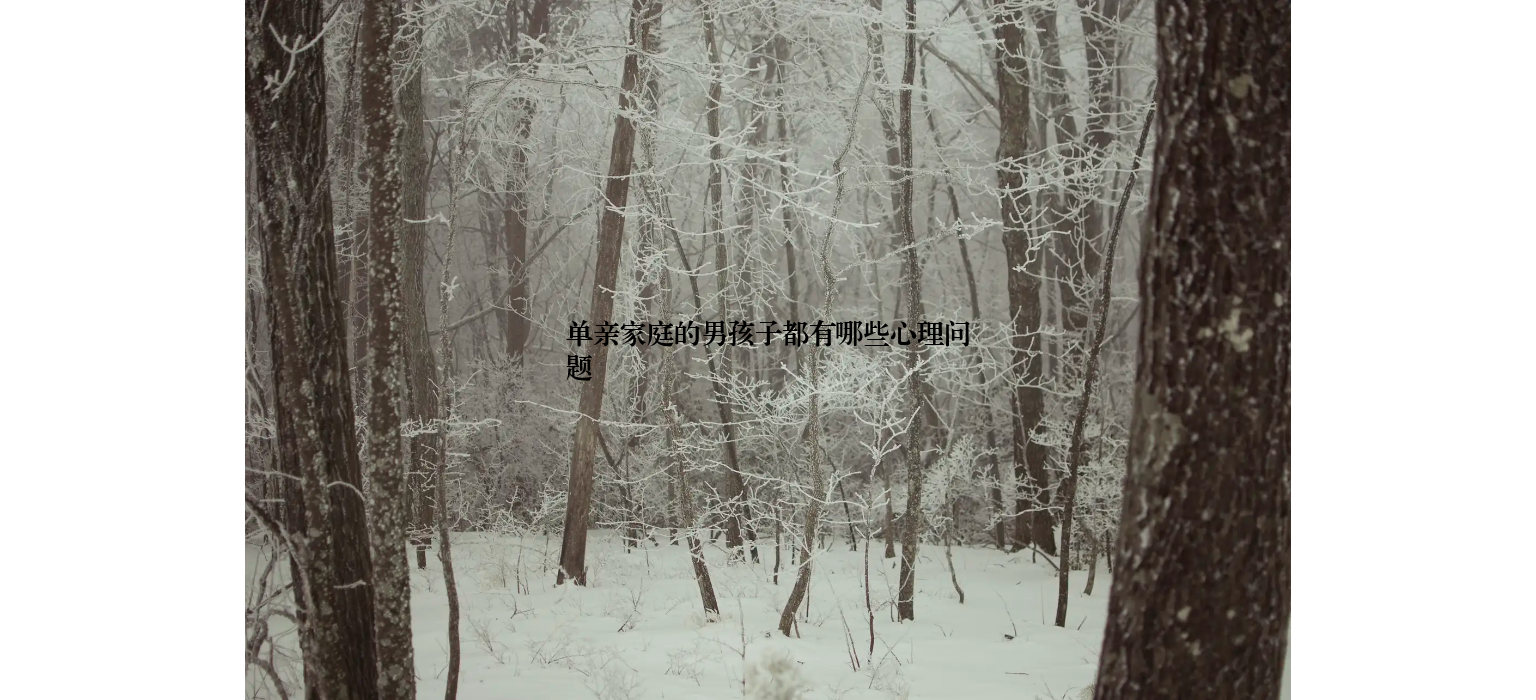单亲家庭的男孩子都有哪些心理问题