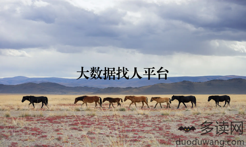 大数据找人平台