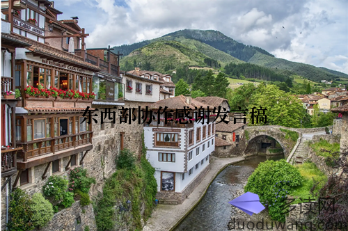 东西部协作感谢发言稿