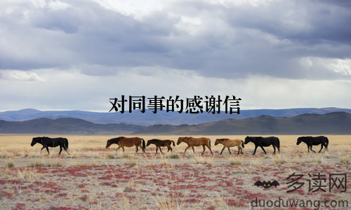 对同事的感谢信