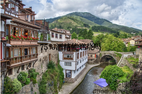 75%酒精能燃烧吗