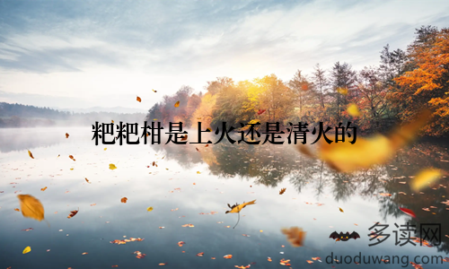 粑粑柑是上火还是清火的