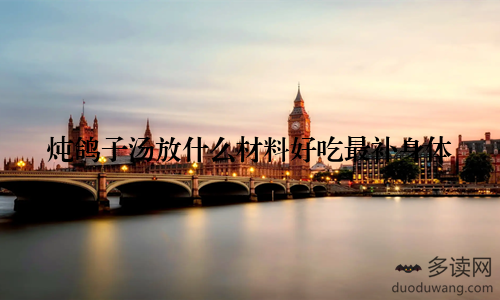 炖鸽子汤放什么材料好吃最补身体