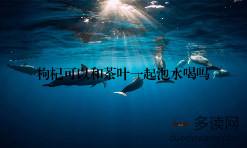 枸杞可以和茶叶一起泡水喝吗