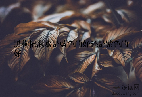黑枸杞泡水是蓝色的好还是紫色的好