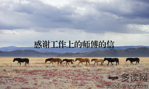 感谢工作上的师傅的信