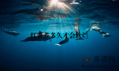 红薯煮多久才会软烂