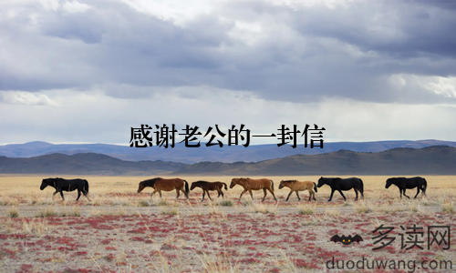 感谢老公的一封信