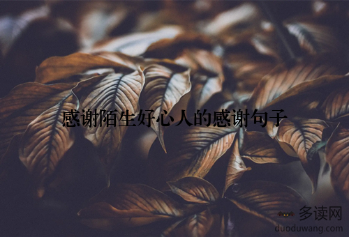 感谢陌生好心人的感谢句子