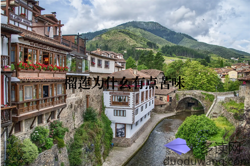 榴莲为什么有点苦味