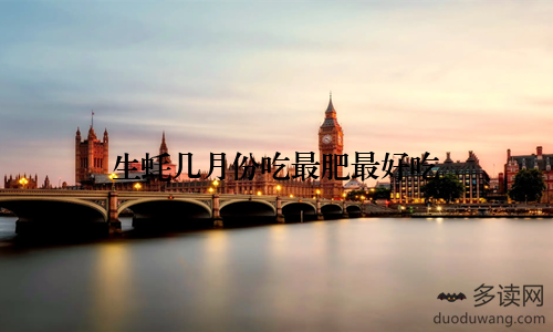 生蚝几月份吃最肥最好吃