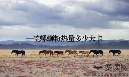 一碗螺蛳粉热量多少大卡