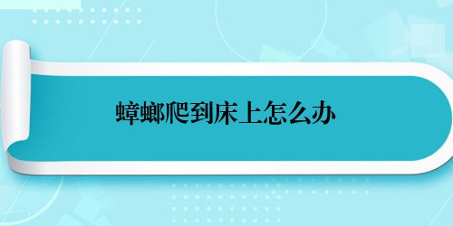 蟑螂爬到床上怎么办
