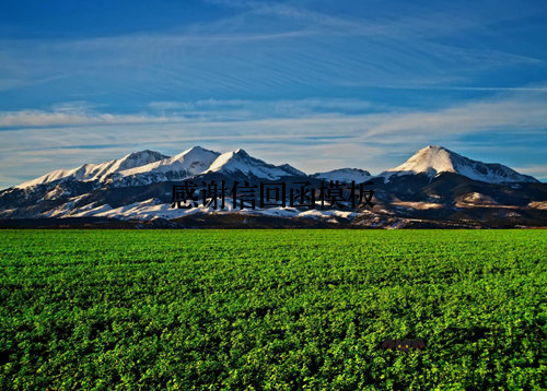 感谢信回函模板