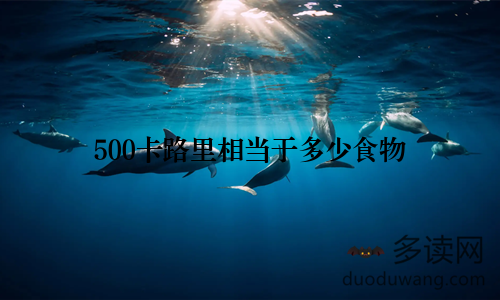 500卡路里相当于多少食物