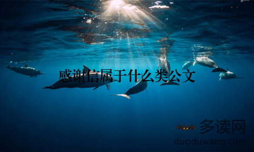 感谢信属于什么类公文