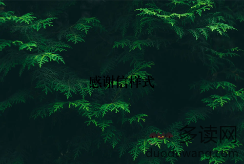 感谢信样式