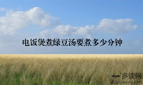 电饭煲煮绿豆汤要煮多少分钟