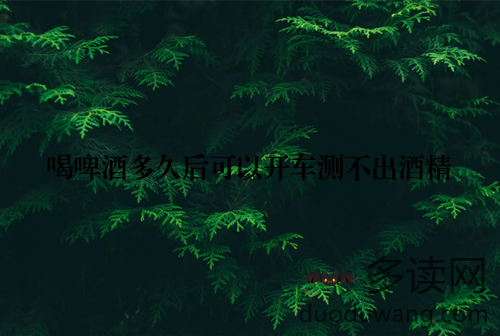 喝啤酒多久后可以开车测不出酒精