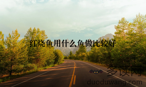 红烧鱼用什么鱼做比较好