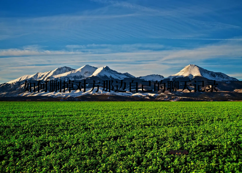 如何删掉对方那边自己的聊天记录