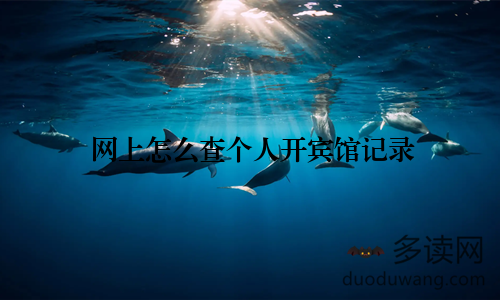 网上怎么查个人开宾馆记录