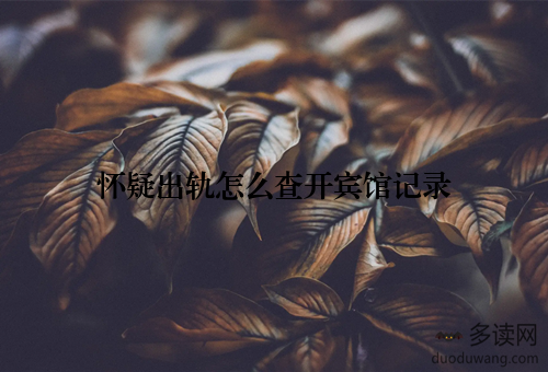 怀疑出轨怎么查开宾馆记录