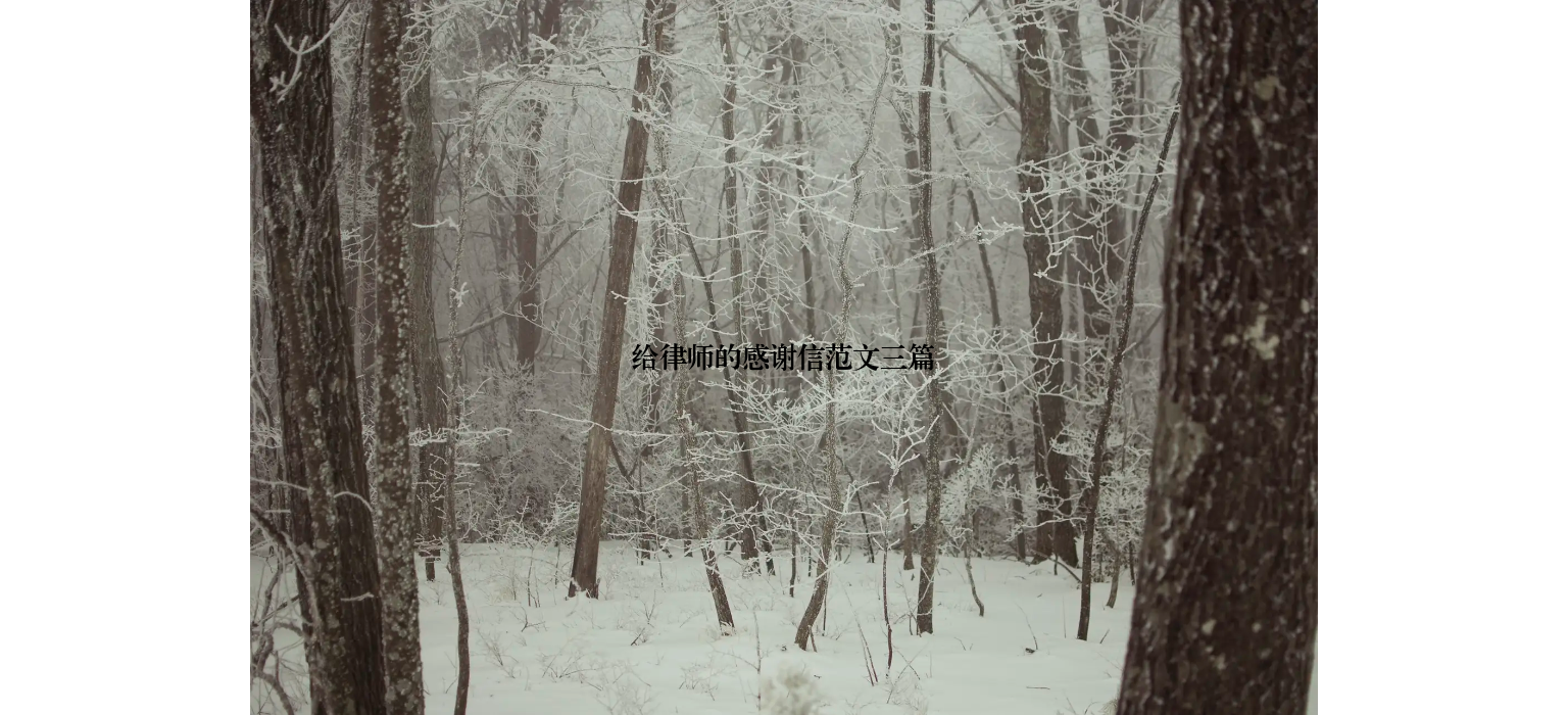 给律师的感谢信范文三篇