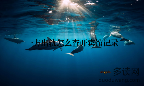 一方出轨怎么查开宾馆记录