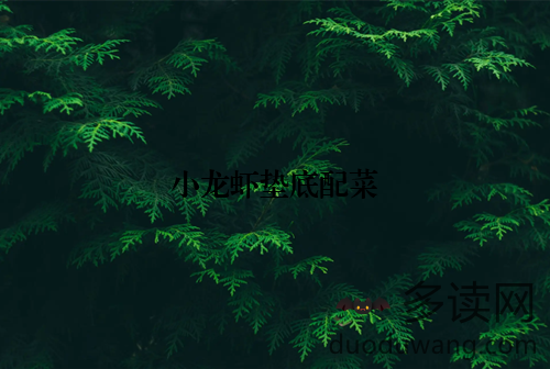 小龙虾垫底配菜