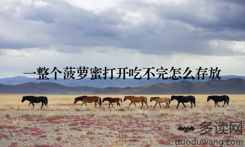 一整个菠萝蜜打开吃不完怎么存放