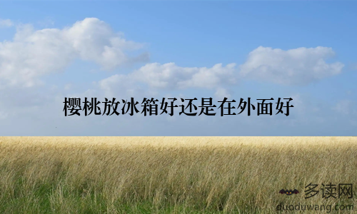 樱桃放冰箱好还是在外面好