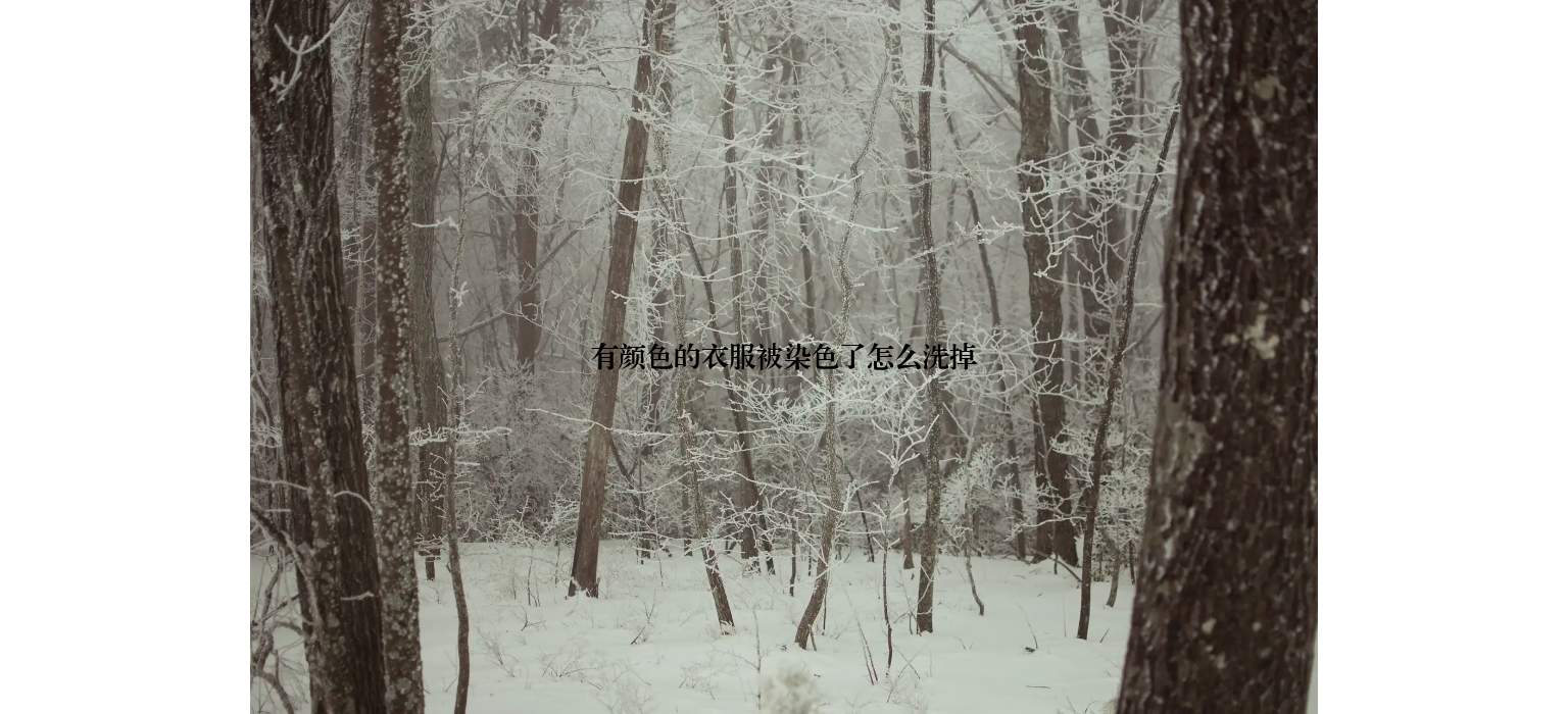 有颜色的衣服被染色了怎么洗掉